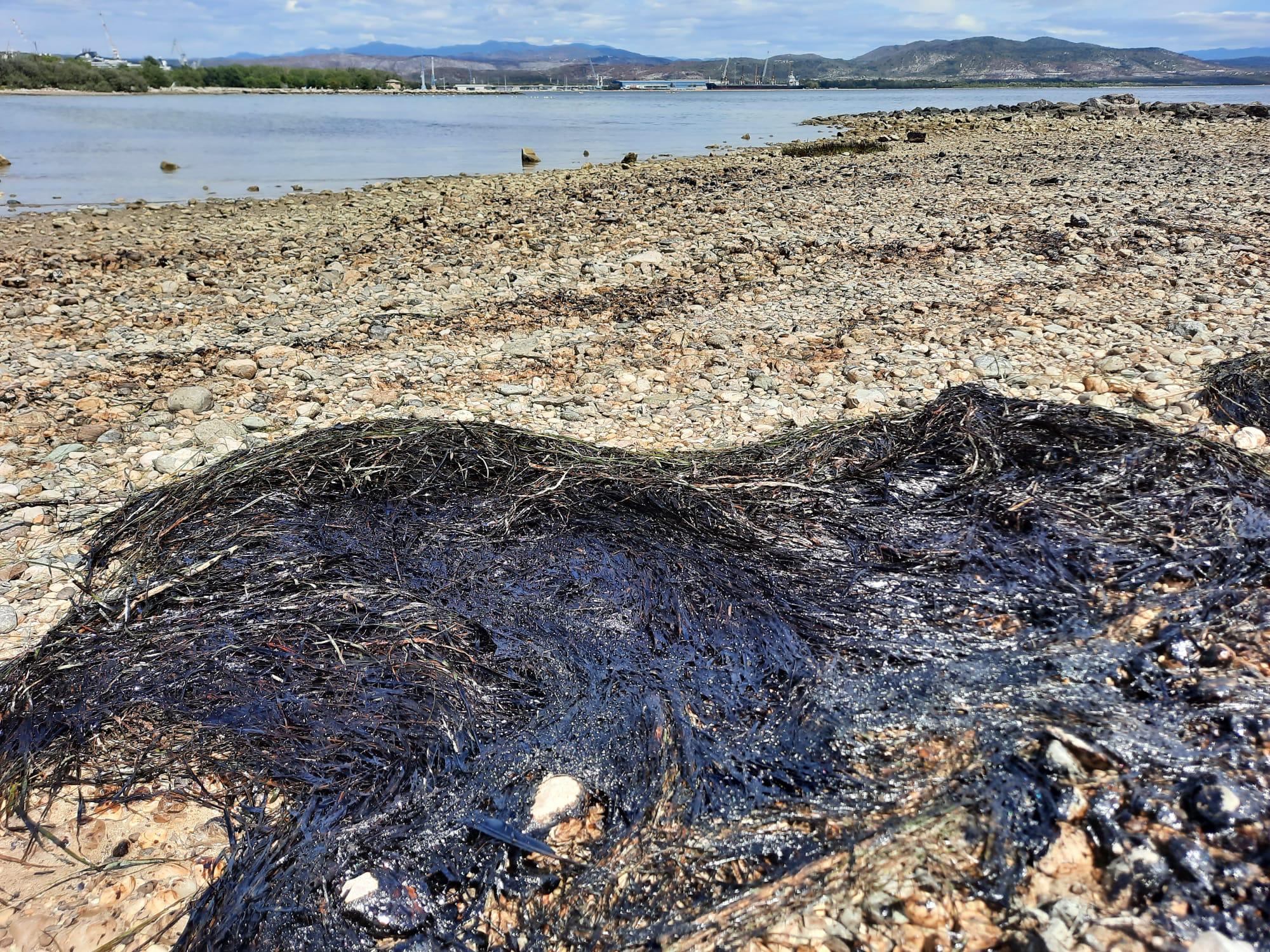Immagine per Idrocarburi sversati in porto, spiaggia di Marina Julia ancora off-limit